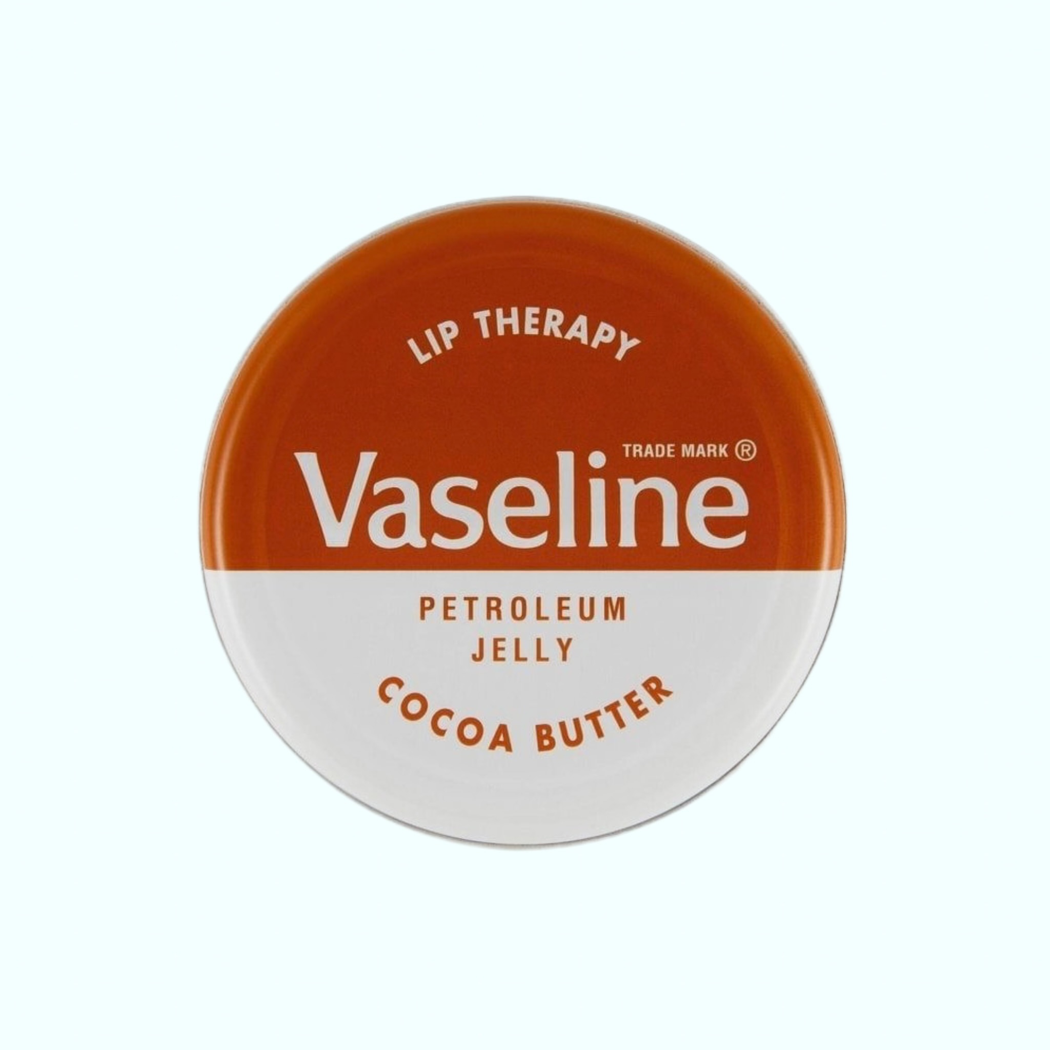 بالم لب سکه ای وازلین رایحه شکلاتی